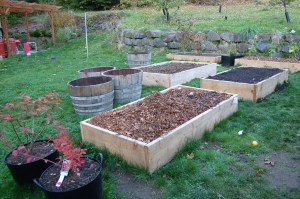 Raised beds and wine barrel planters