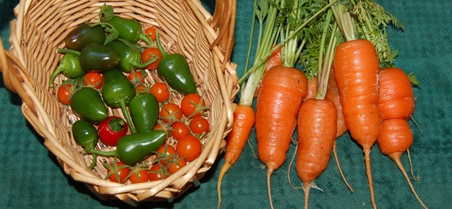Tomatoes, peppers, and carrots